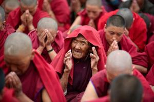 buddshit od nun with others praying Olivier adam